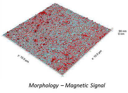 AFSEM MFM image obtained on a multilayered magnetic sample. (Figure 3) Overlay of topography and magnetic signal.